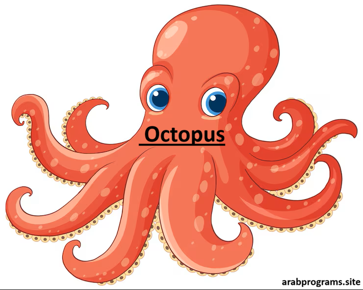 Octopus